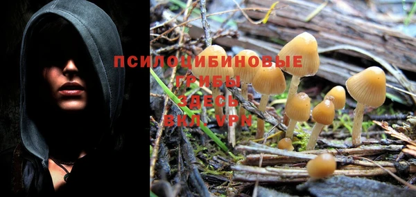 винт Богородицк