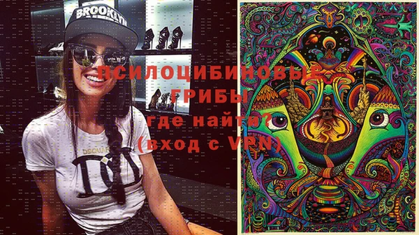PSILOCYBIN Белокуриха