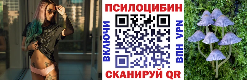 ссылка на мегу зеркало цены наркотик Кодинск Псилоцибиновые грибы прущие грибы